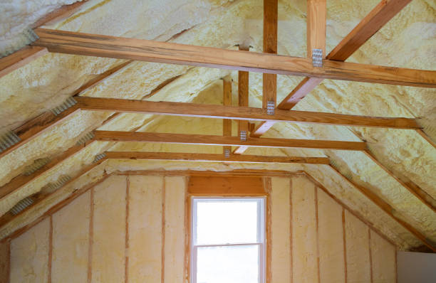 Best Attic Insulation Installation  in Hoffman Estates, IL