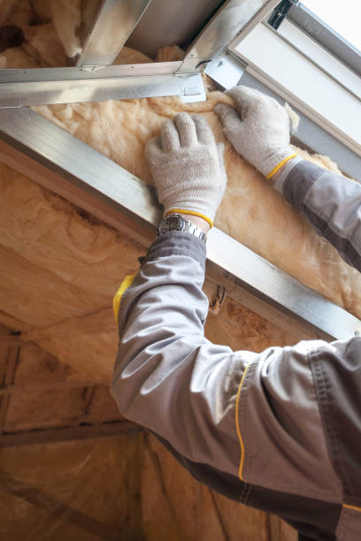 Best Local Insulation Services  in Hoffman Estates, IL