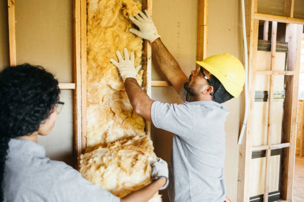 Best Best Insulation Companies  in Hoffman Estates, IL